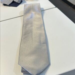 Sophisticated Silver Men's Tie